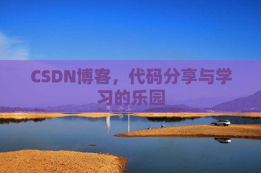 CSDN博客，代码分享与学习的乐园